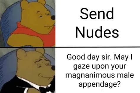 send nudes funny meme|send nudes Meaning & Origin 